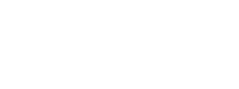 Inselflieger Logo